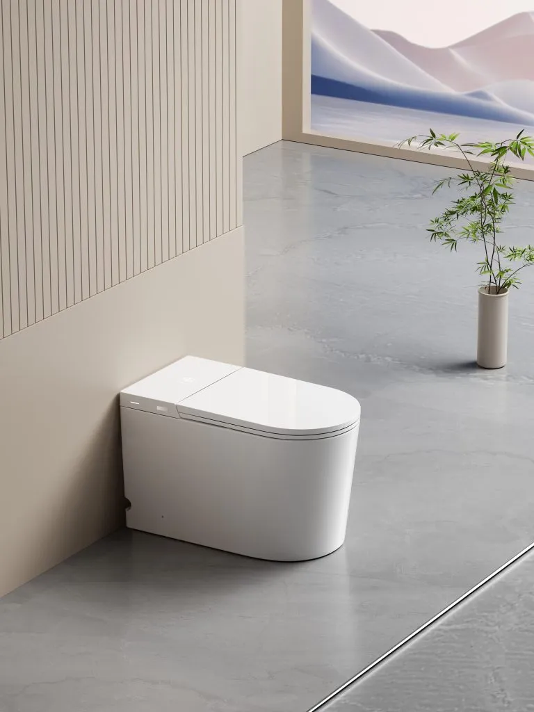 Smart Toilet
